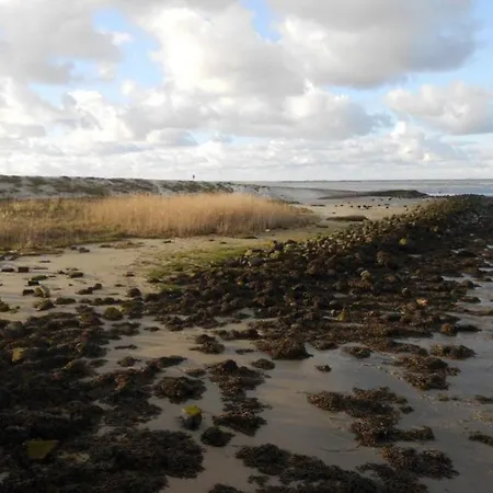 Strandschnecke Ferienhaus *