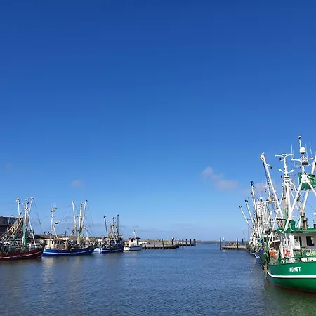 Strandschnecke Dornumersiel