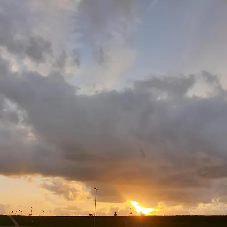 Strandschnecke Feriehus