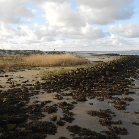 Feriehus Strandschnecke *