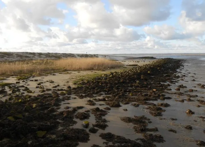 Strandschnecke 別荘 *