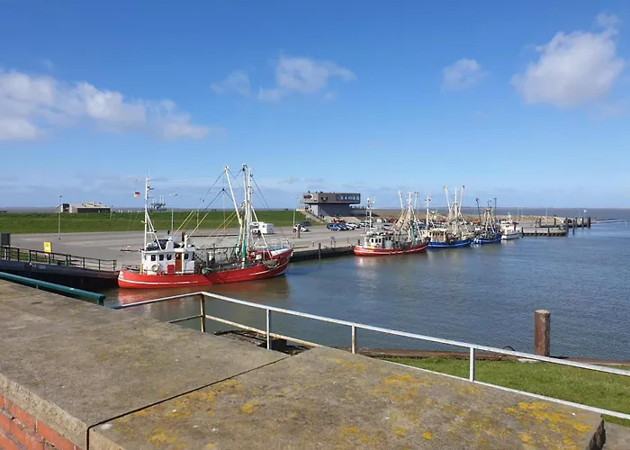 Strandschnecke 別荘 *