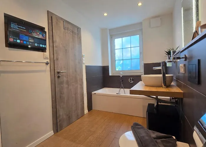 Strandschnecke 多纳莫塞尔